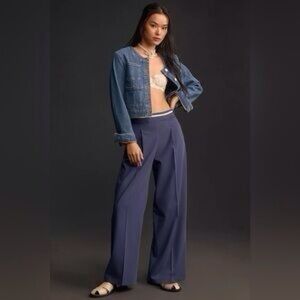 NWT Size L - Anthropologie Pleated Wide-Leg Pants